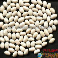 小白芸豆招代理