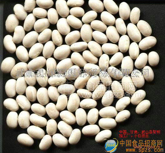 小白蕓豆招代理