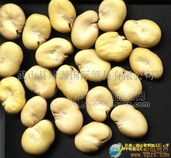 手工干剝中粒蠶豆仁招商