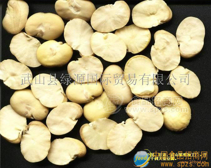 誠(chéng)招大蠶豆瓣經(jīng)銷商