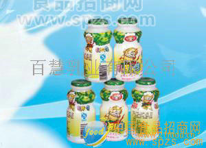 百慧乳酸菌飲料-乳乳佳招代理乳制品招商