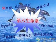开发海洋食品保障人民健康