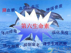 我们的营养滋补品