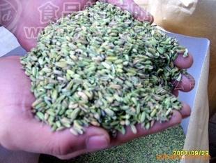 供應(yīng)出口級小茴香（小茴香粉40-80目）洋蔥干