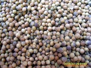供應(yīng)出口中顆粒香菜子（芫荽子），香菜籽粉