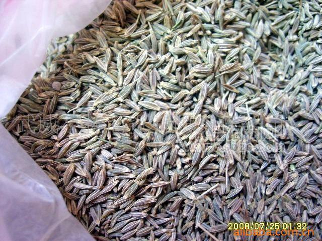 供应出口孜然（沽茗子）40-80目孜然粉