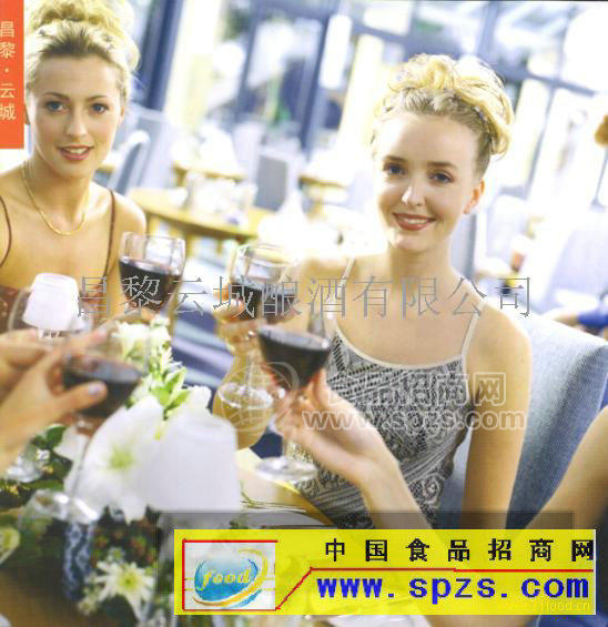 葡萄酒-向南京、深圳招商