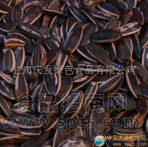 葵花籽招代理商