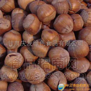 香榛子招代理商