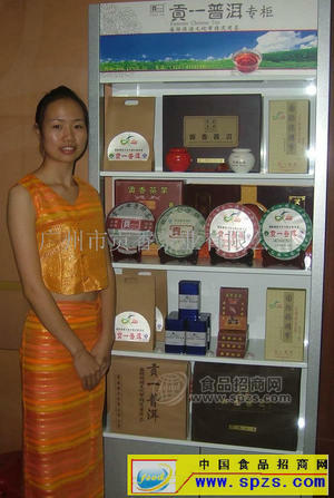 贡一普洱诚招广东省市级代理商（普洱茶品牌招商）