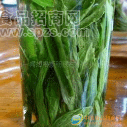 供应绿茶