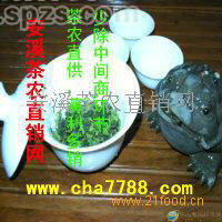 供应乌龙茶