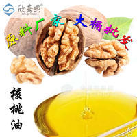 散装批发 冷榨一级精炼食用油&ldquo;欣奇典&rdquo;核桃油
