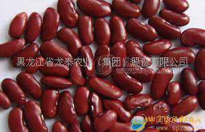 沙禾有机红芸豆