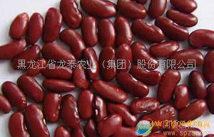 沙禾有机红芸豆