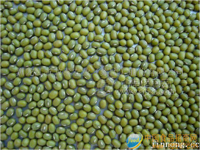 沙禾有机绿豆