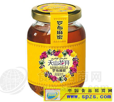 天山花开新疆黑蜂蜂蜜1000克招商