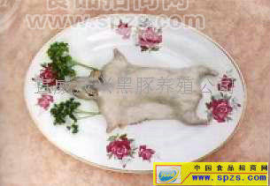 供应宰杀取毛后的肉豚