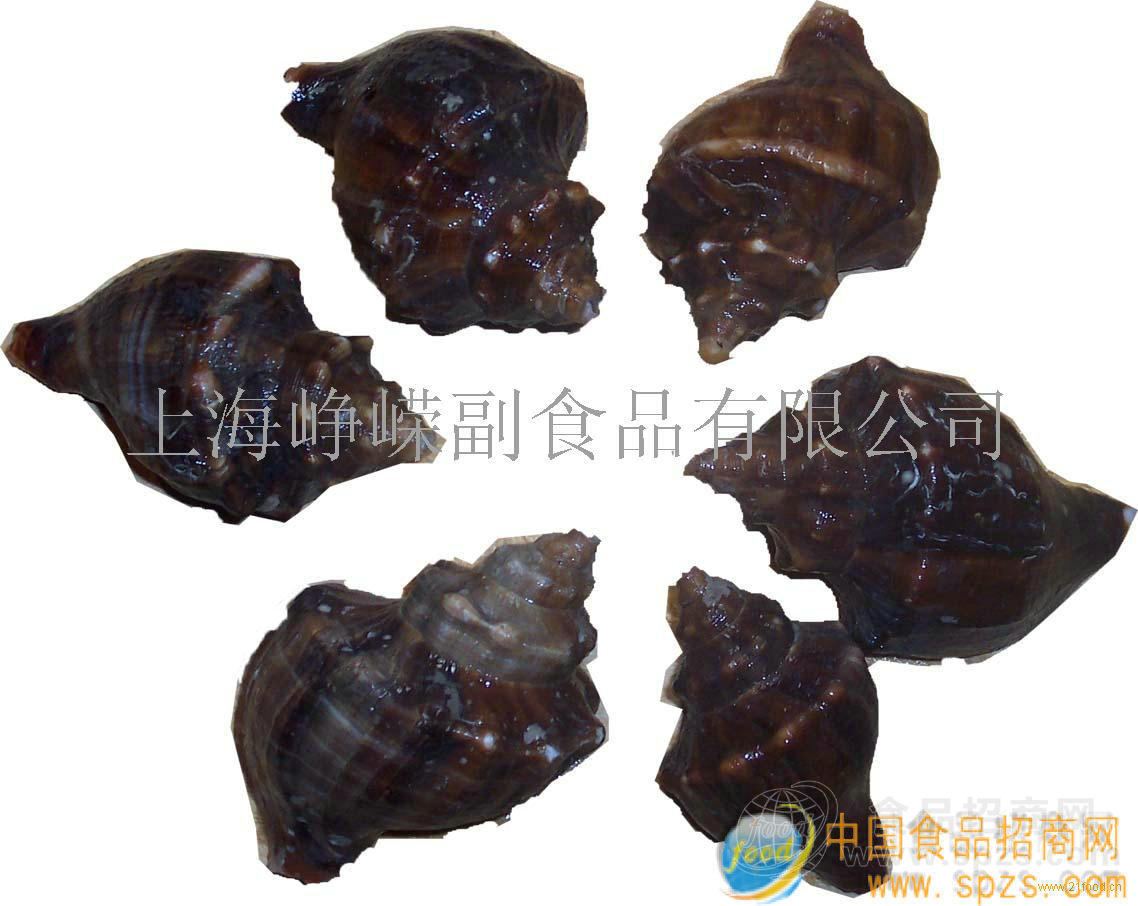 小海螺招商