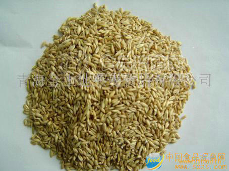供應(yīng)燕麥原顆粒