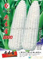 糯玉米种子
