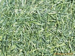 優(yōu)質(zhì)有機蒸青茶 外形美觀