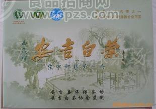 厂家直销 供应安吉白茶 欢迎四方贵客品鉴