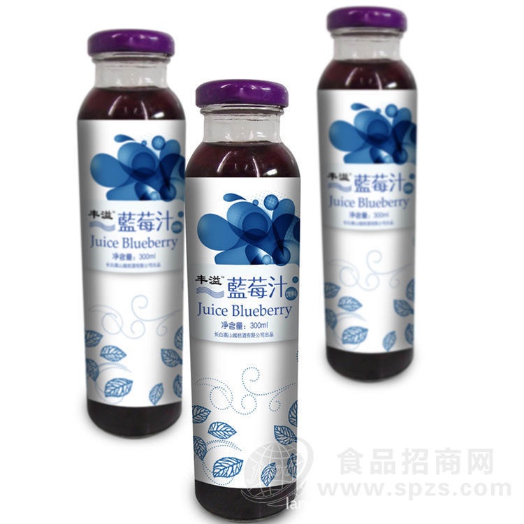 供应特价促销 丰溢蓝莓汁 果肉饮料 300ml护眼防辐射