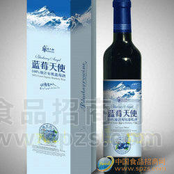 供应有机蓝莓酒-果酒