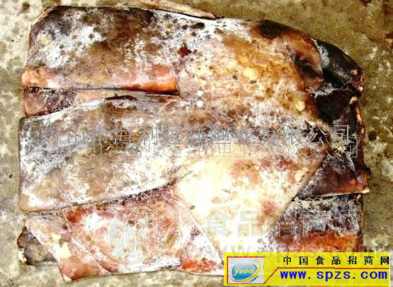 秘鲁鱿鱼