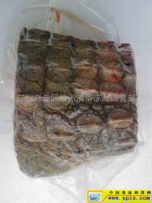 鱷魚(yú)肉全國(guó)招商