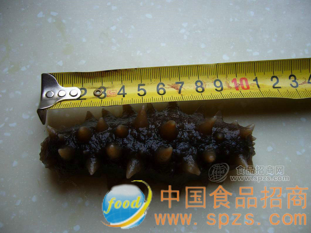 批发即食海参