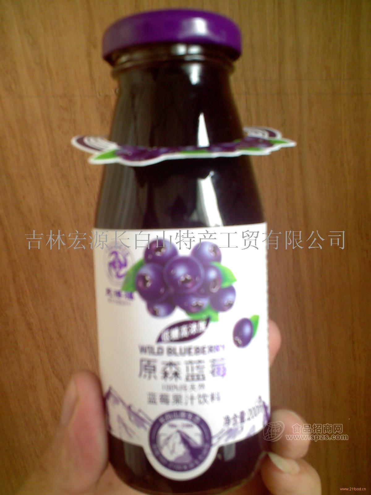 供應(yīng)藍(lán)莓果汁200ml