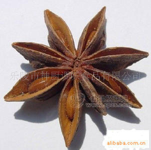 供應(yīng)優(yōu)質(zhì)八角粉，八角，優(yōu)質(zhì)大料