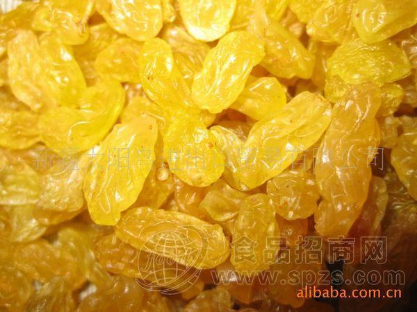新疆特产金提子葡萄干 新疆葡萄干