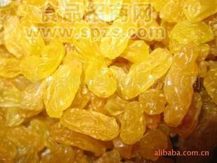 产地直销新疆特产金提子葡萄干 新疆葡萄干