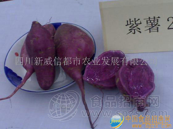 紫色红薯