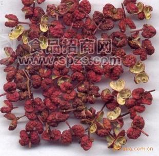 调味料/花椒粉/创味/厂家直销/香辛料调味粉