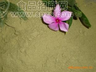 供应大蒜粉 香葱粉 洋葱粉 各种香料