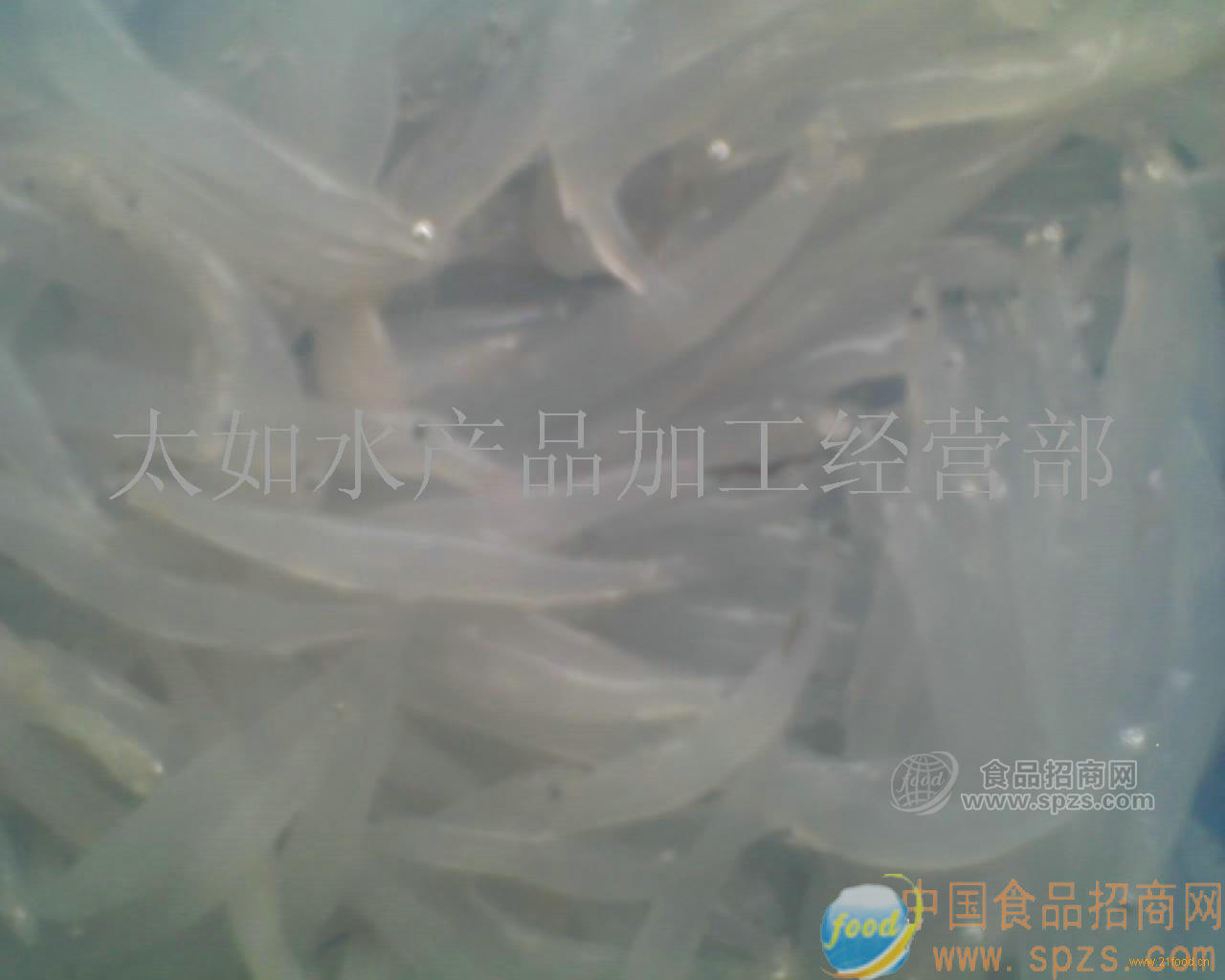 供應(yīng)銀魚(yú)冰板