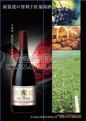 智利萧伟昂家族版干红葡萄酒