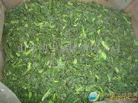 供应速冻菠菜段