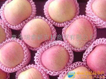 08優(yōu)質(zhì)低價紅富士