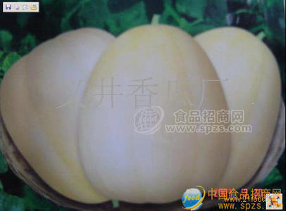 香瓜出售