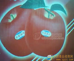 紅富士蘋果誠(chéng)召全國(guó)