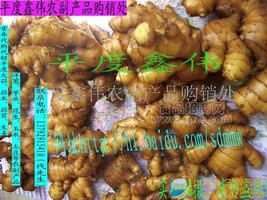 寻求农副产品深加工合作商
