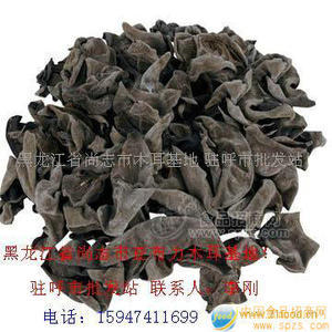 纯东北黑木耳进驻呼市