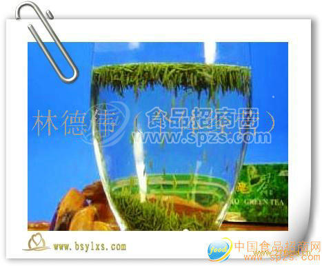 高山绿茶