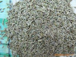 供應(yīng)出口級(jí)孜然、孜然粉 Cumin seed