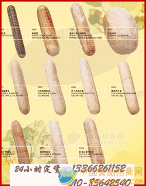 肉食腸類